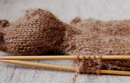 Purl Critter | Purl Soho