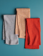 Hydrangea Blossom