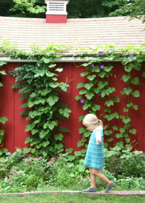 Spring Cleaning Sale at purlsoho.mom! | Purl Soho