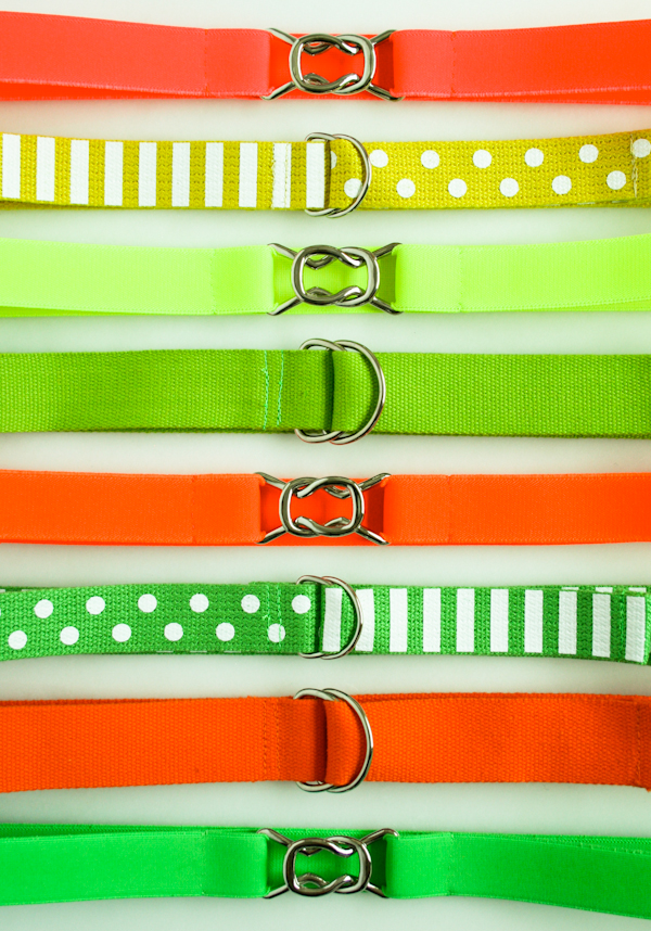 D-Ring Belts | Purl Soho