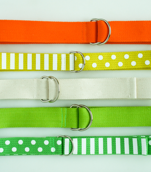 D-Ring Belts | Purl Soho