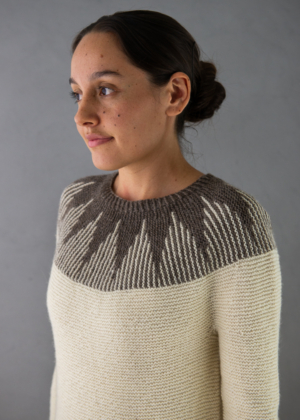 Ainur Berkimbayeva For Purl Soho: Thistle Yoke Pullover | Purl Soho