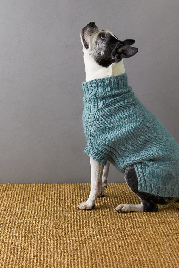Sole Salvo For Purl Soho: Lucky Dog Sweater | Purl Soho