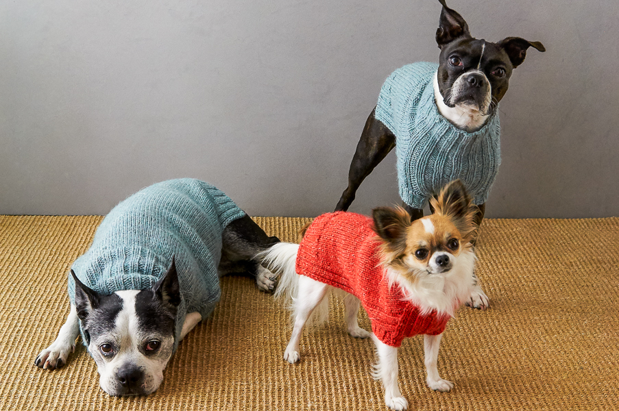 Sole Salvo For Purl Soho: Lucky Dog Sweater | Purl Soho