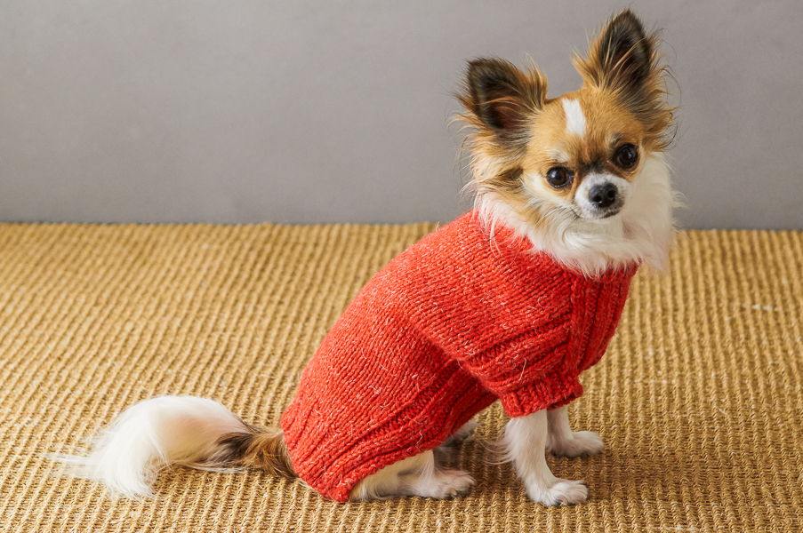 Sole Salvo For Purl Soho: Lucky Dog Sweater | Purl Soho