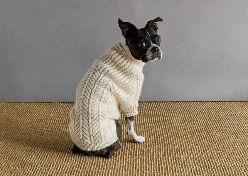 Sole Salvo For Purl Soho: Dog Park Sweater | Purl Soho