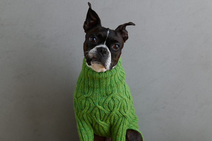 Sole Salvo For Purl Soho: Botanical Yoke Dog Sweater | Purl Soho