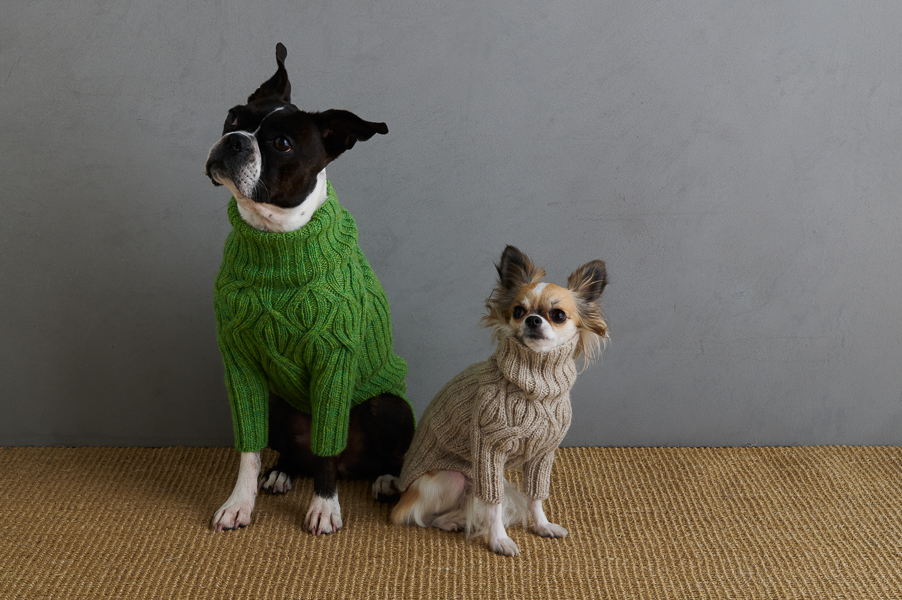 Sole Salvo For Purl Soho: Botanical Yoke Dog Sweater | Purl Soho