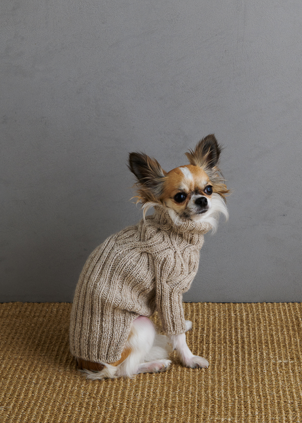 Sole Salvo For Purl Soho: Botanical Yoke Dog Sweater | Purl Soho
