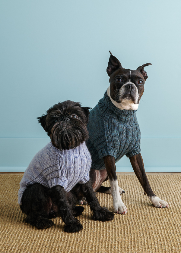 Sole Salvo For Purl Soho: Lucky Dog Sweater in Daily Wool Worsted | Purl Soho