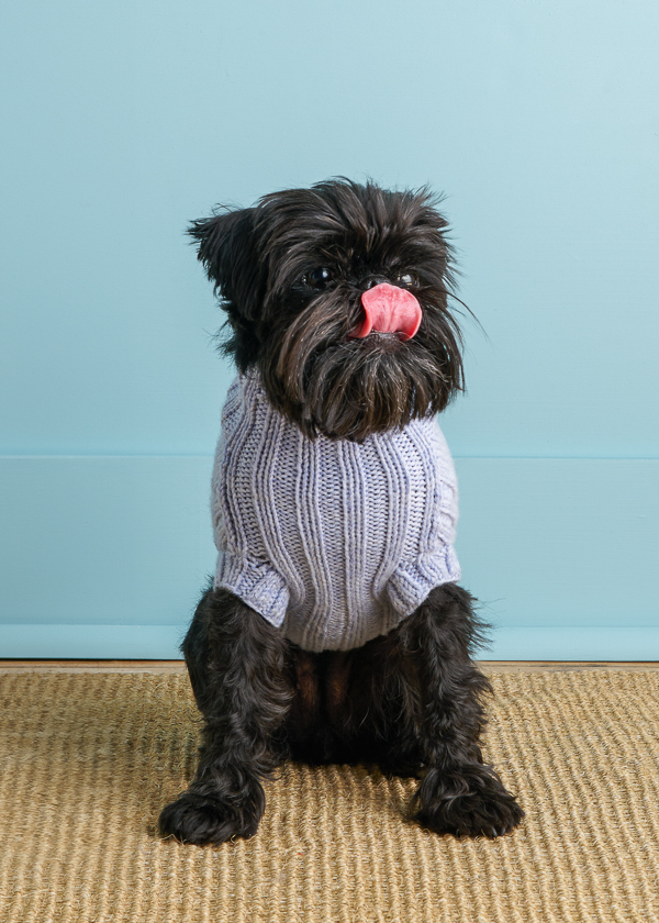 Sole Salvo For Purl Soho: Lucky Dog Sweater in Daily Wool Worsted | Purl Soho