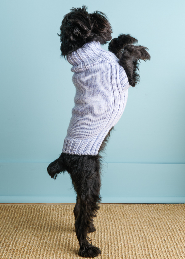 Sole Salvo For Purl Soho: Lucky Dog Sweater in Daily Wool Worsted | Purl Soho