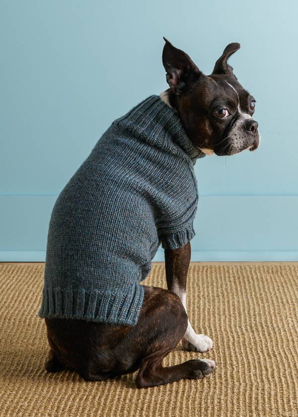Sole Salvo For Purl Soho: Lucky Dog Sweater in Daily Wool Worsted | Purl Soho
