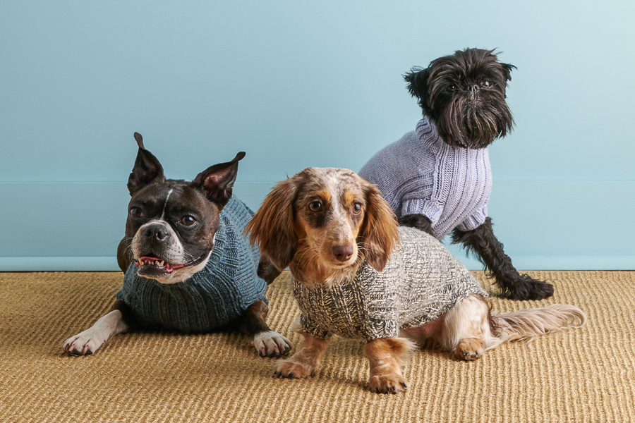 Sole Salvo For Purl Soho: Lucky Dog Sweater in Daily Wool Worsted | Purl Soho