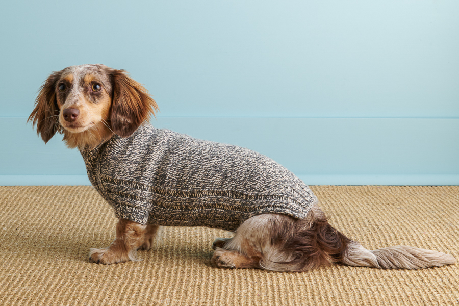 Sole Salvo For Purl Soho: Lucky Dog Sweater in Daily Wool Worsted | Purl Soho
