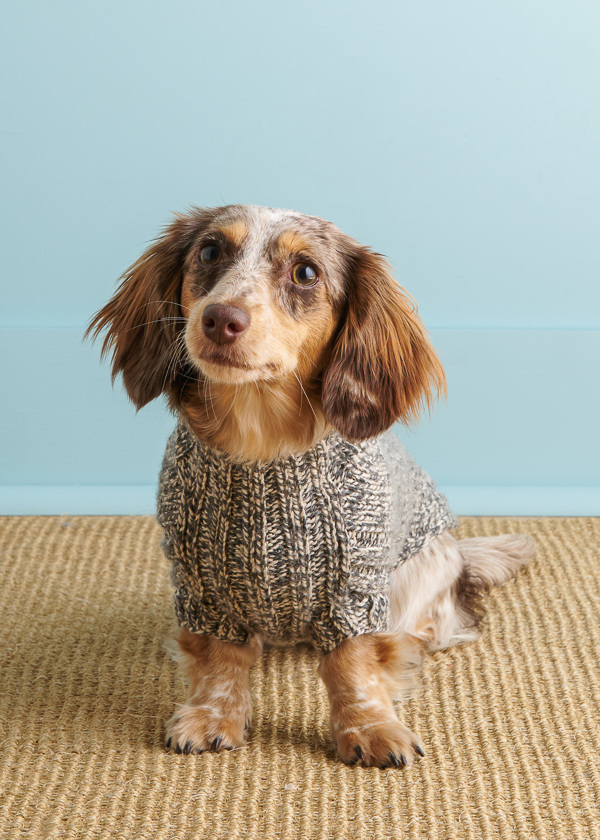 Sole Salvo For Purl Soho: Lucky Dog Sweater in Daily Wool Worsted | Purl Soho