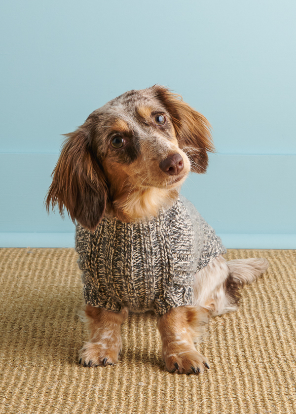 Sole Salvo For Purl Soho: Lucky Dog Sweater in Daily Wool Worsted | Purl Soho