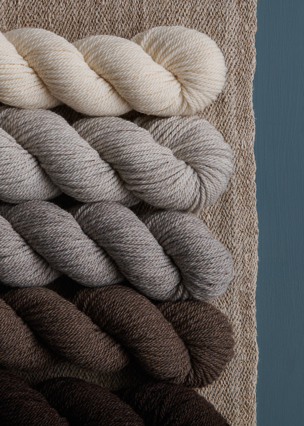 Best Of 2025 | Purl Soho